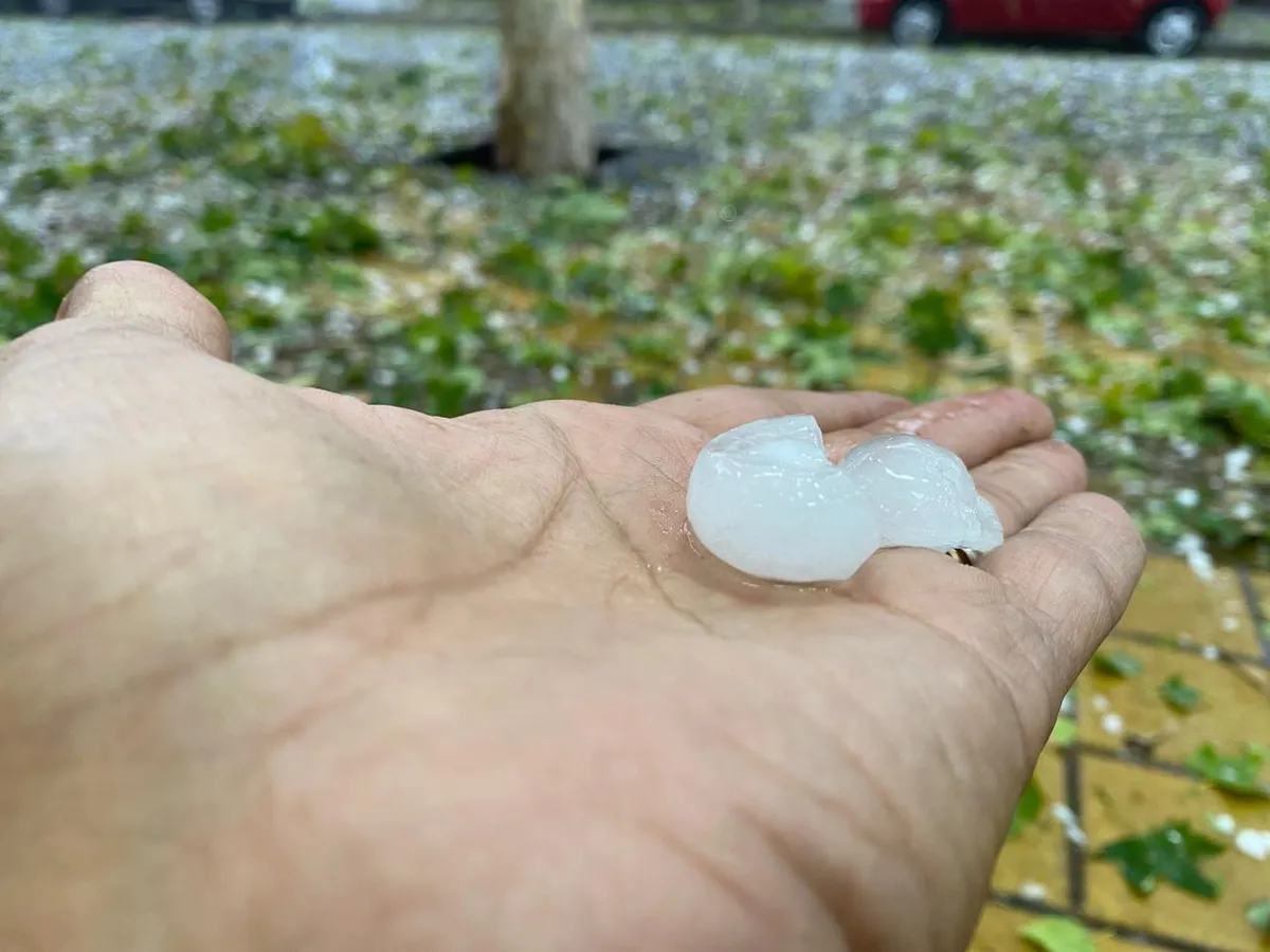 El Municipio de Pocito asiste a las familias damnificadas por la lluvia