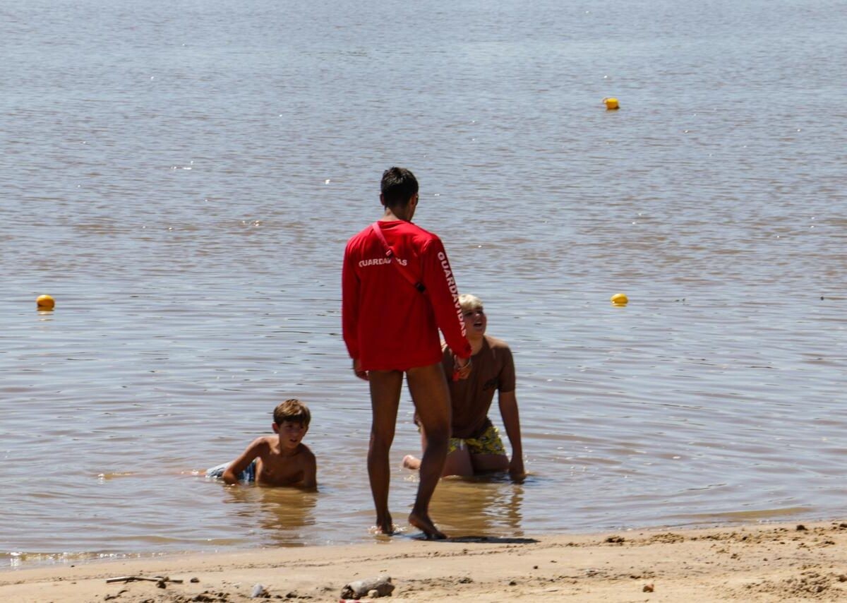 Temperaturas extremas: recomendaciones por presencia de palometas y prevención de golpes de calor