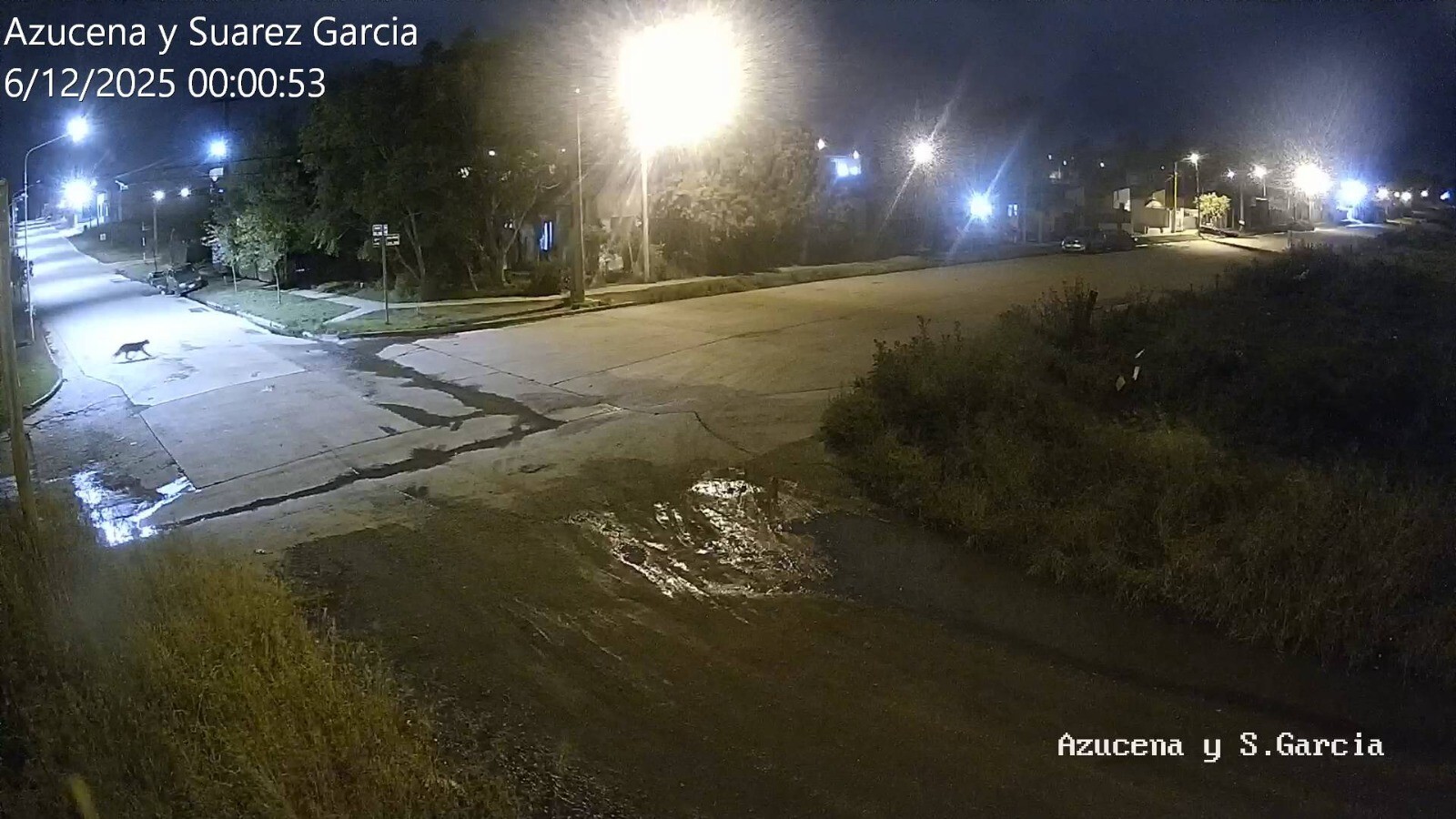 Advertencia en La Movediza: detectaron la presencia de un puma y piden precaución a los vecinos