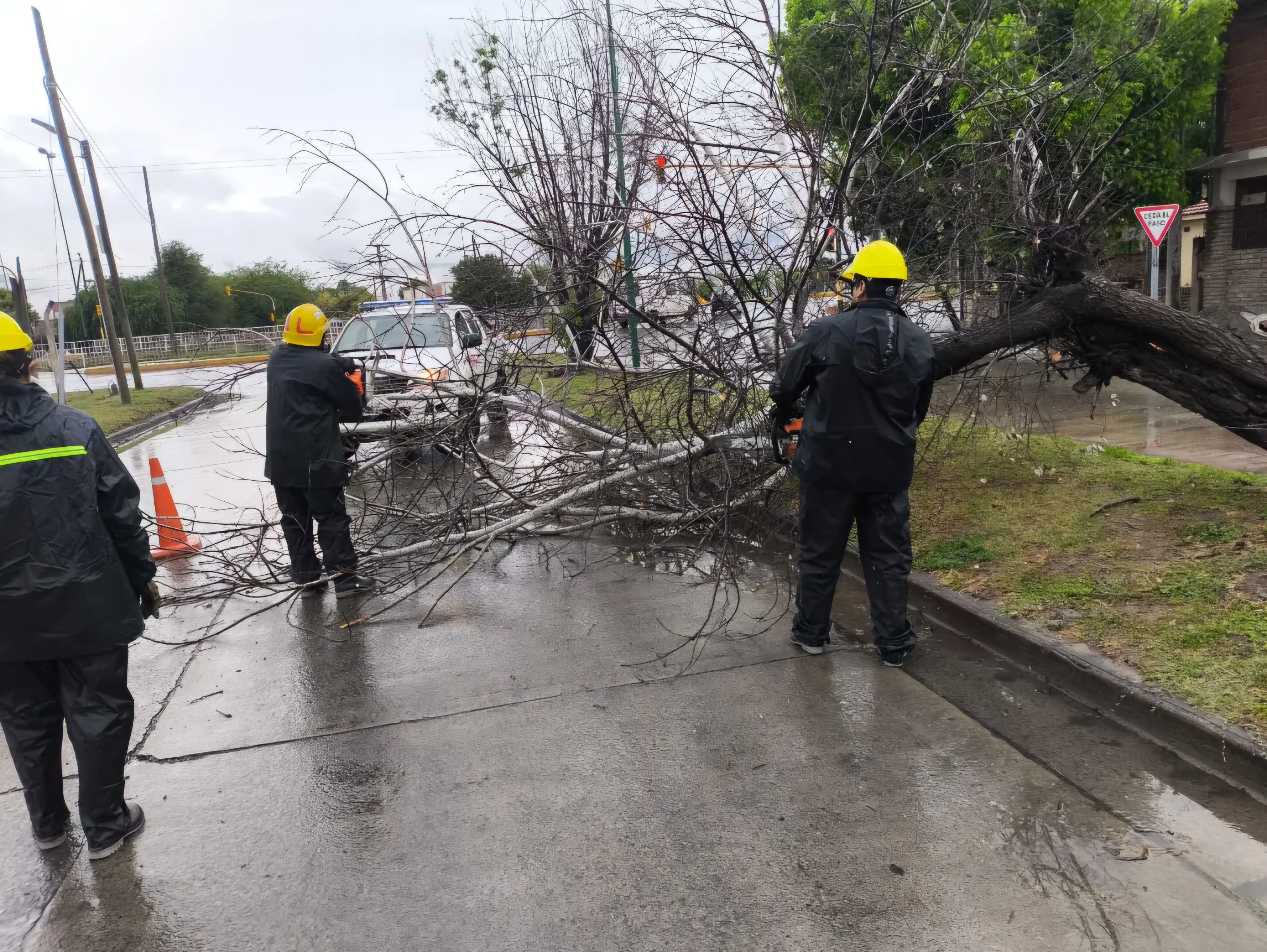 trabajolluvias1-1024x769.jpg Temporal en Salta: árboles y postes caídos, voladura de chapas y un accidente de tránsito en la ciudad