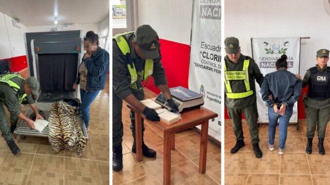 travesia1 1.jpeg Formosa: Detuvieron a una mujer por viajar con más de dos kilos de cocaína