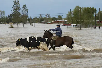 una-postal-de-las-inundaciones-en-PCUKFTR2JFBRPFW5W2K5NHXXYQ.webp