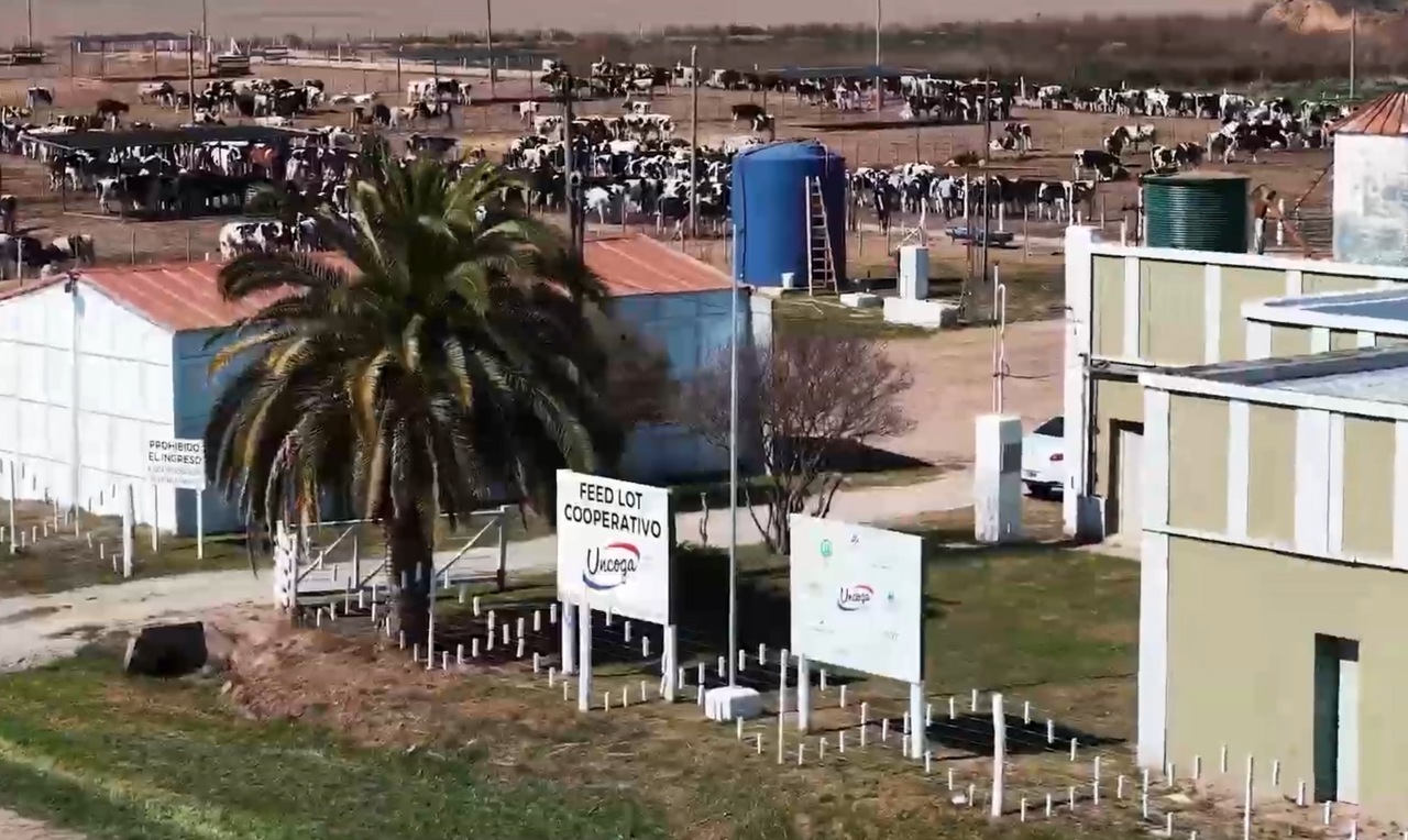 unnamed-1ccf40e0fc57d4ee9