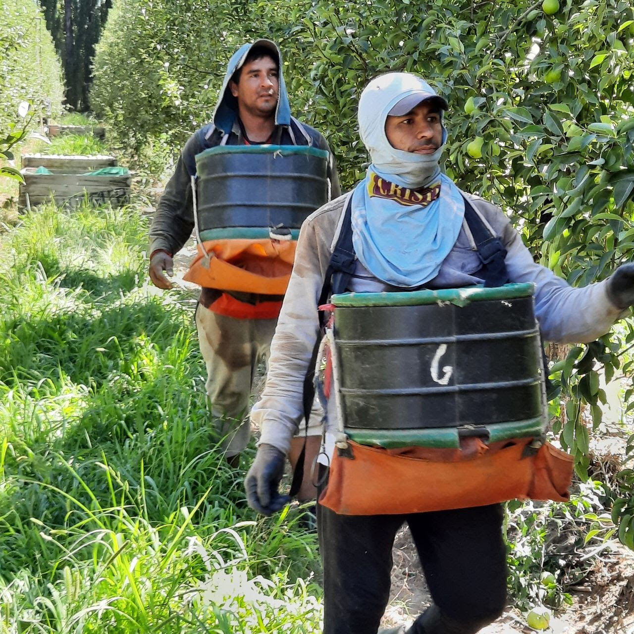 unnamed-1d298234dec37ac4b