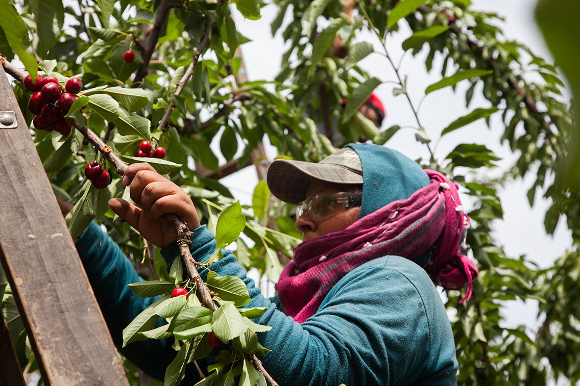 unnamed052e4f55e5e716f2