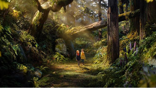 EL BOSQUE SALVAJE