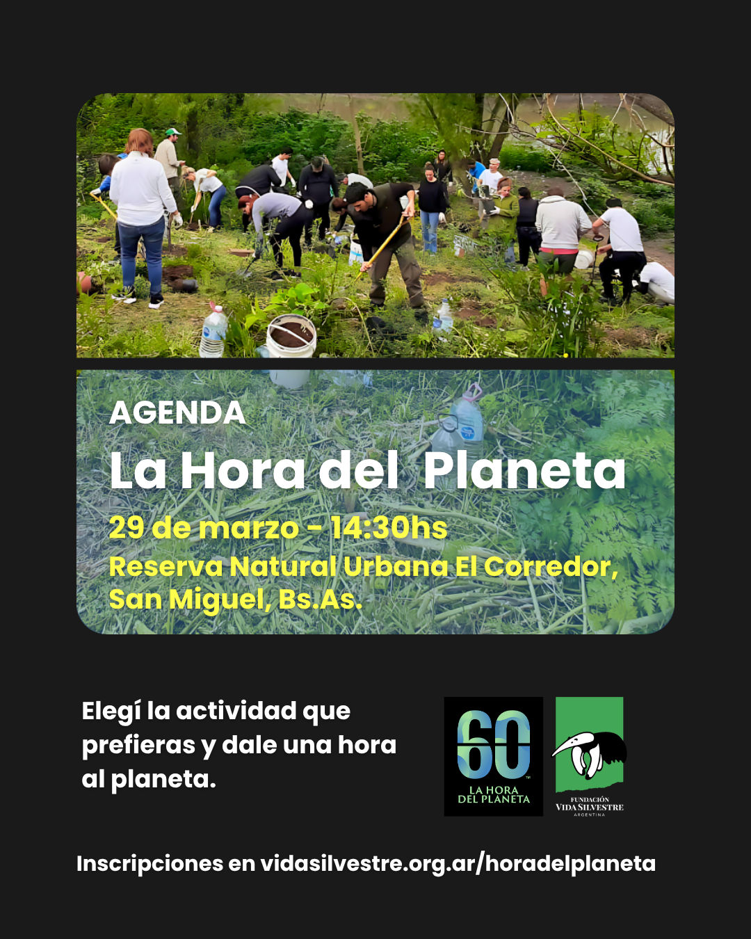 unnamedfc885d589ee7b7db