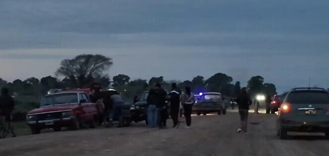 vacas olavarria 2.jpg