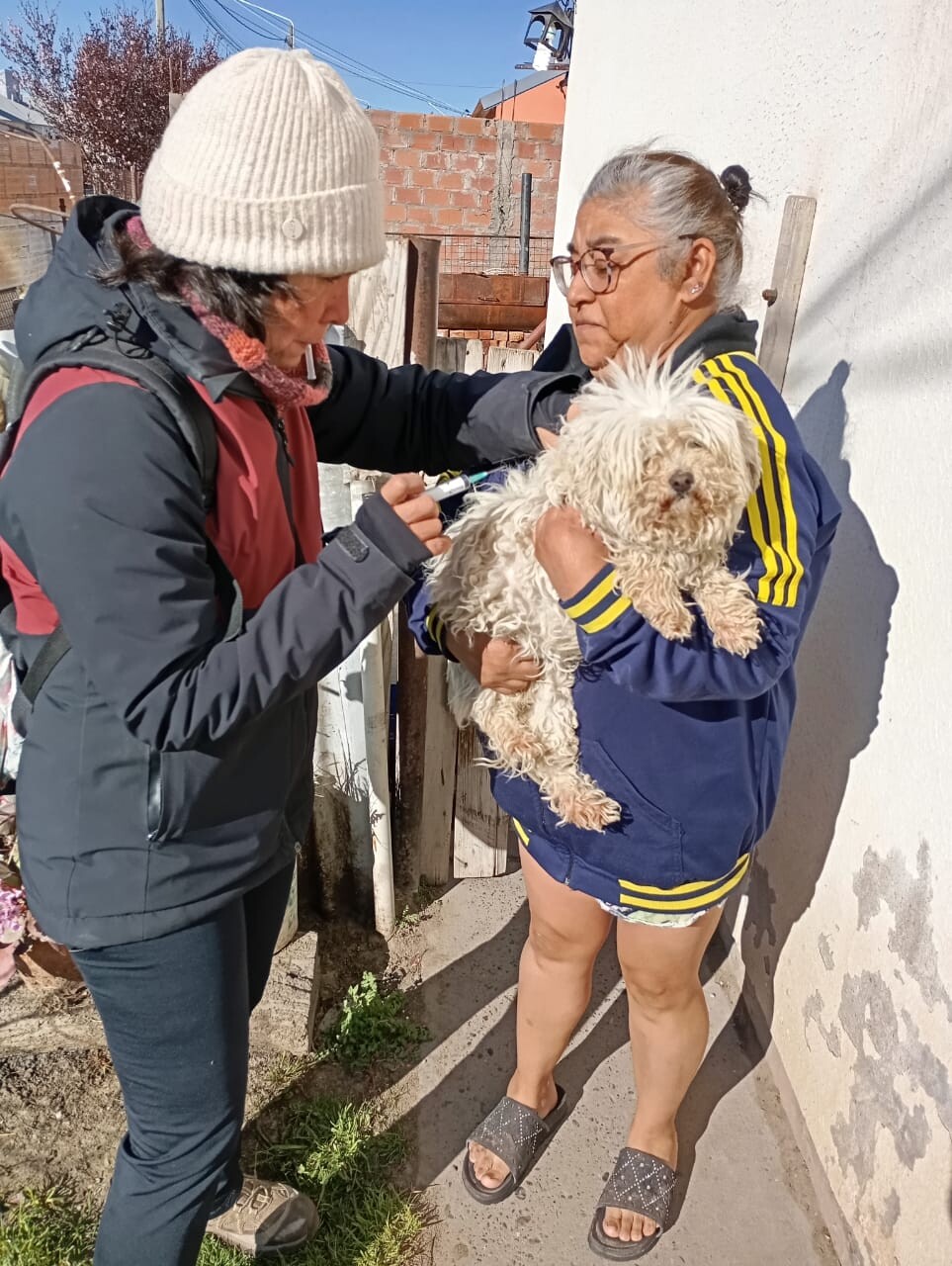 vacunacion antirrabica (3).jpeg Salud: Provincia refuerza la vigilancia y el monitoreo de la Rabia Animal