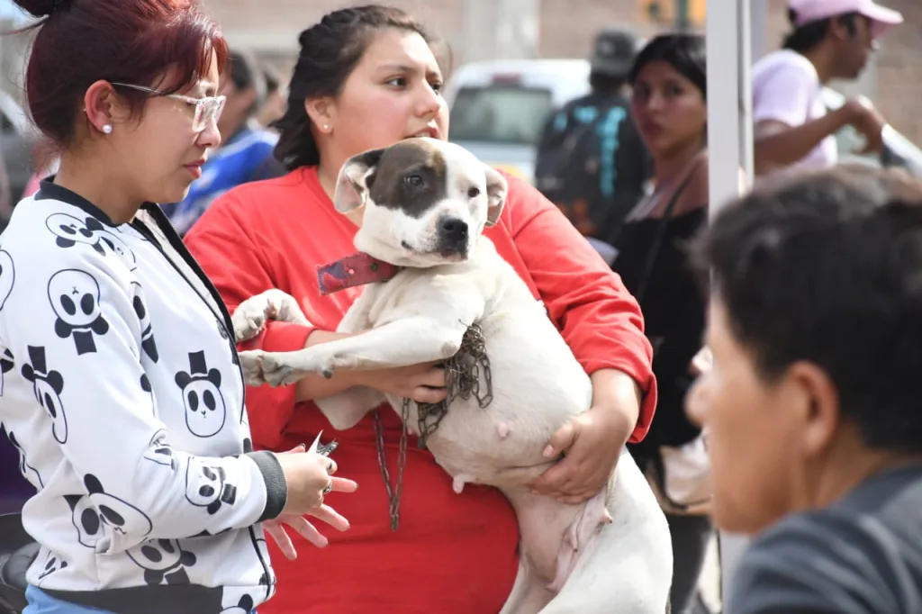 vacunacion-antirrabica-programa-cerca-tuyo-1024x682.webp La próxima semana el Móvil de Castración estará en Villa Luján y El Carmen