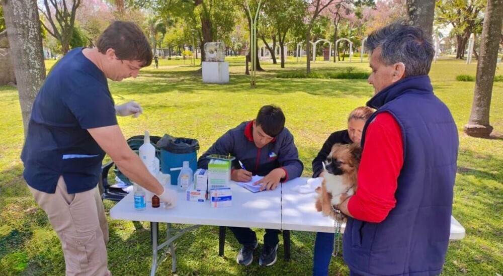Avellaneda Continúa Con La Campaña De Vacunación De Mascotas