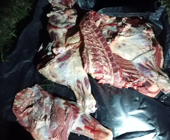 Los Conquistadores: hallan una vaquilla faenada y oculta en un campo