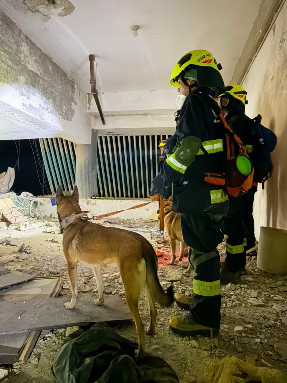 Escáner, sensores y perros: la primera búsqueda de la brigada santafesina en Venezuela