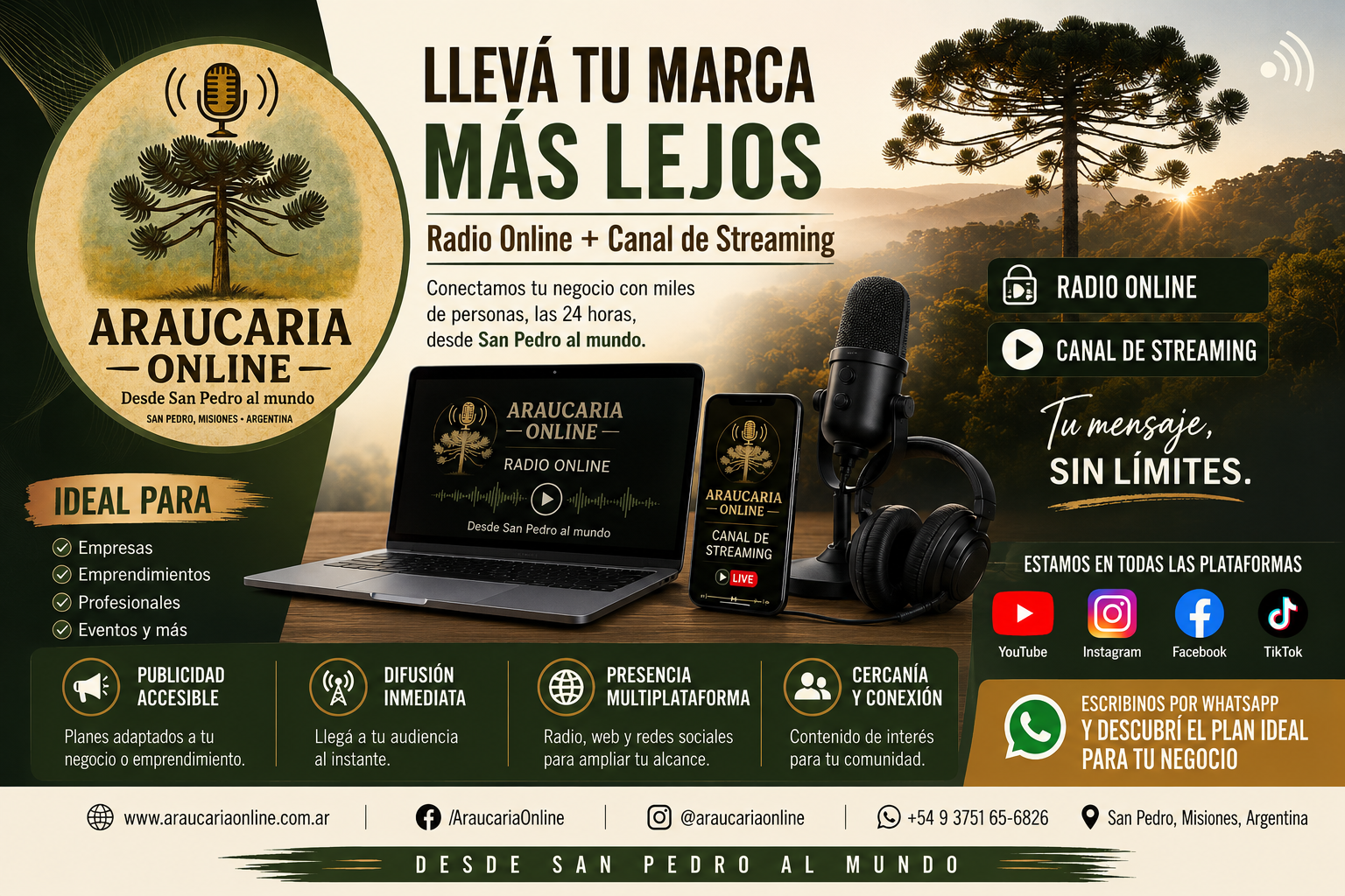 Araucaria online streaming
