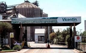 vicentin new-01.jpg