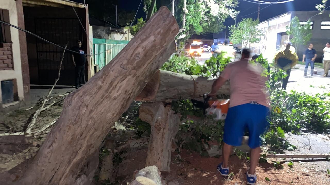 La Municipalidad de Chimbas actuó sin descanso ante pedidos de vecinos por el fuerte viento Zonda