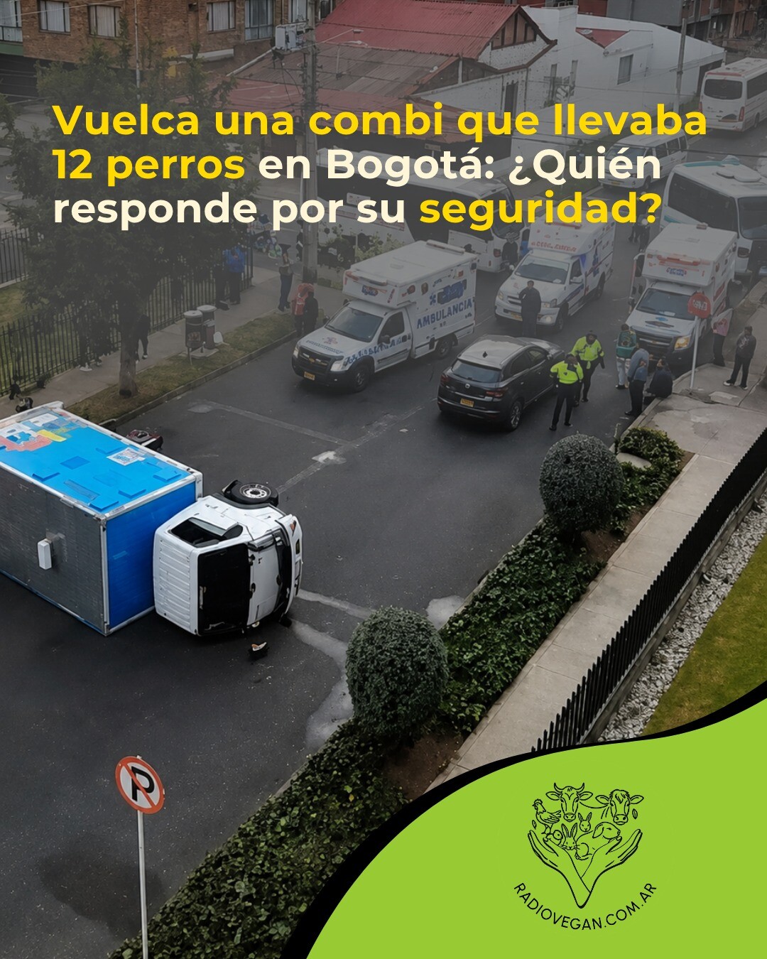 VUELCA COMBI CON 12 PERROS (BOGOTÁ, COLOMBIA)