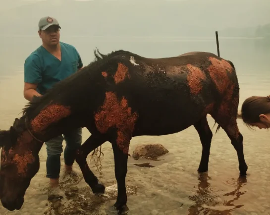 walter-diaz-incendios-en-chubut-4359-2