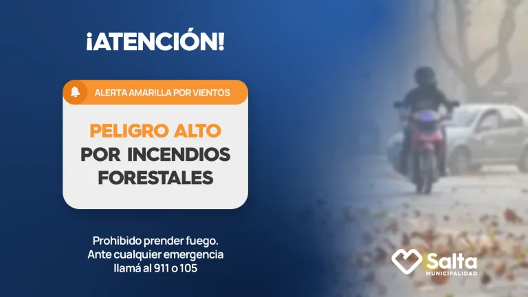 web-768x432.webp