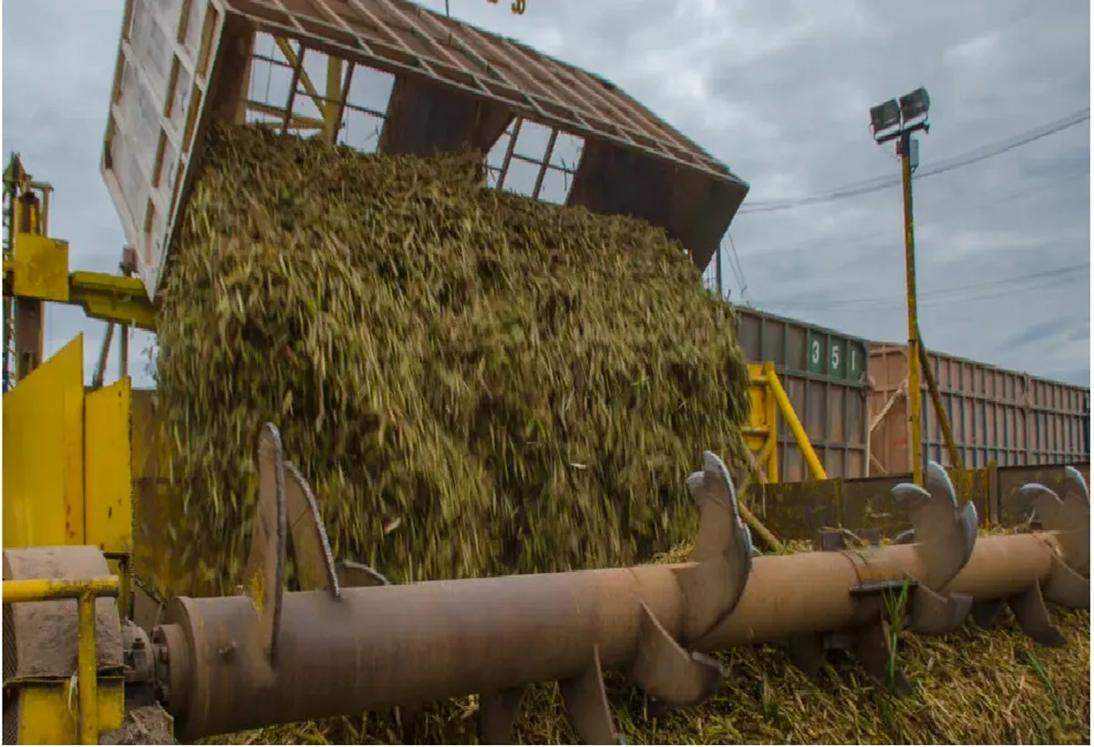 Jujuy marca récord en exportaciones del NOA