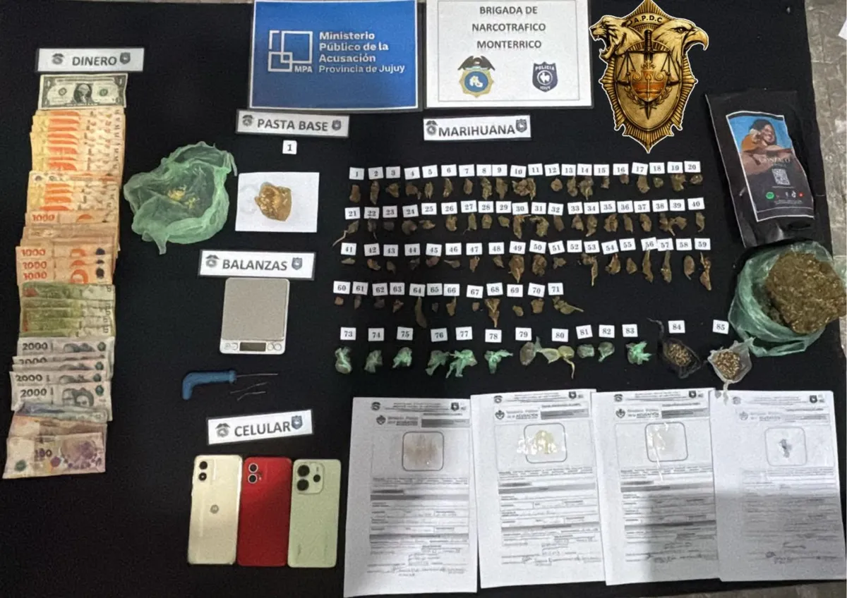Importantes resultados en los operativos contra el narcotráfico en todo Jujuy