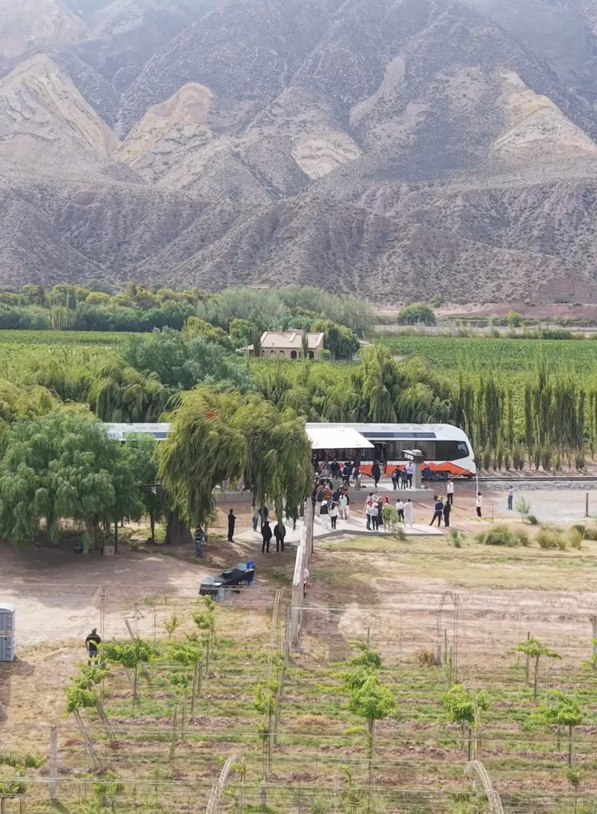 El Tren del Vino: llega una nueva nueva experiencia del Tren Solar de la Quebrada