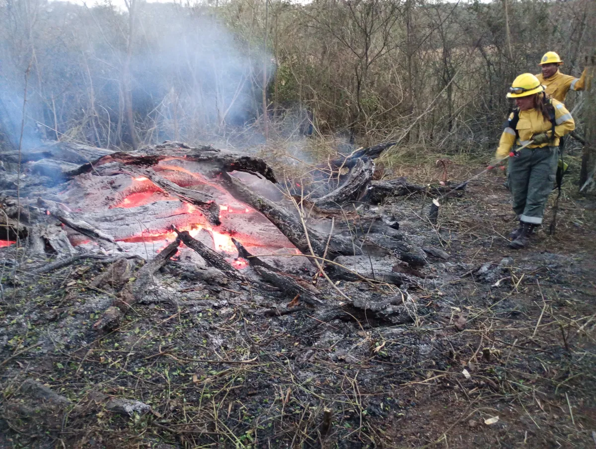 Lograron sofocar y contener incendios de vegetación que amenazaron a zonas pobladas en Jujuy