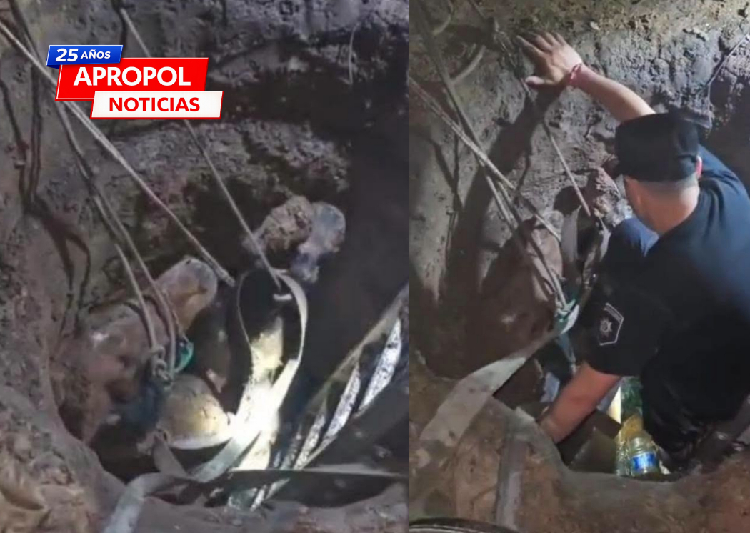 ROSARIO: rescataron a una yegua que había caído en un pozo ciego de cuatro metros