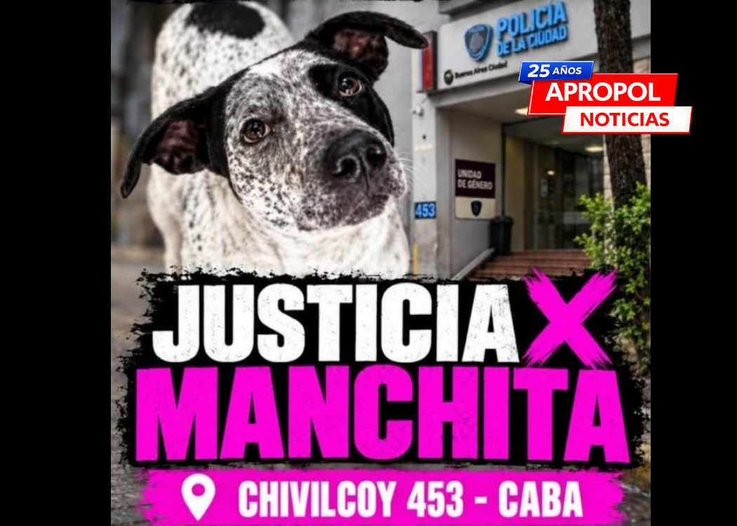CABA: fuerte reclamo vecinal por la muerte de Manchita, la mascota de la guardia