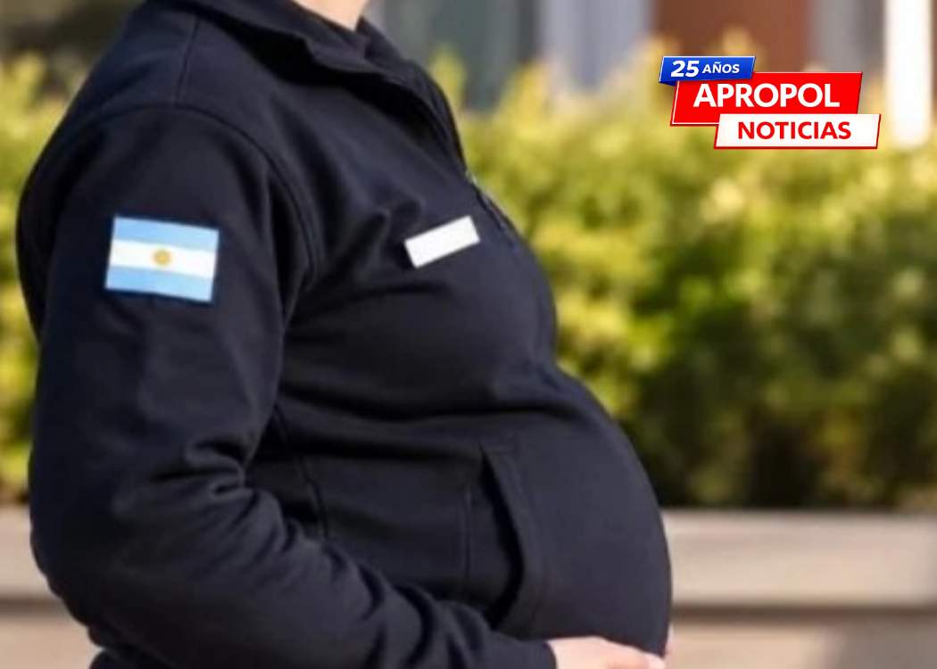 El caso Brítez Arce y los derechos de las policías embarazadas: qué protección rige en Santa Fe