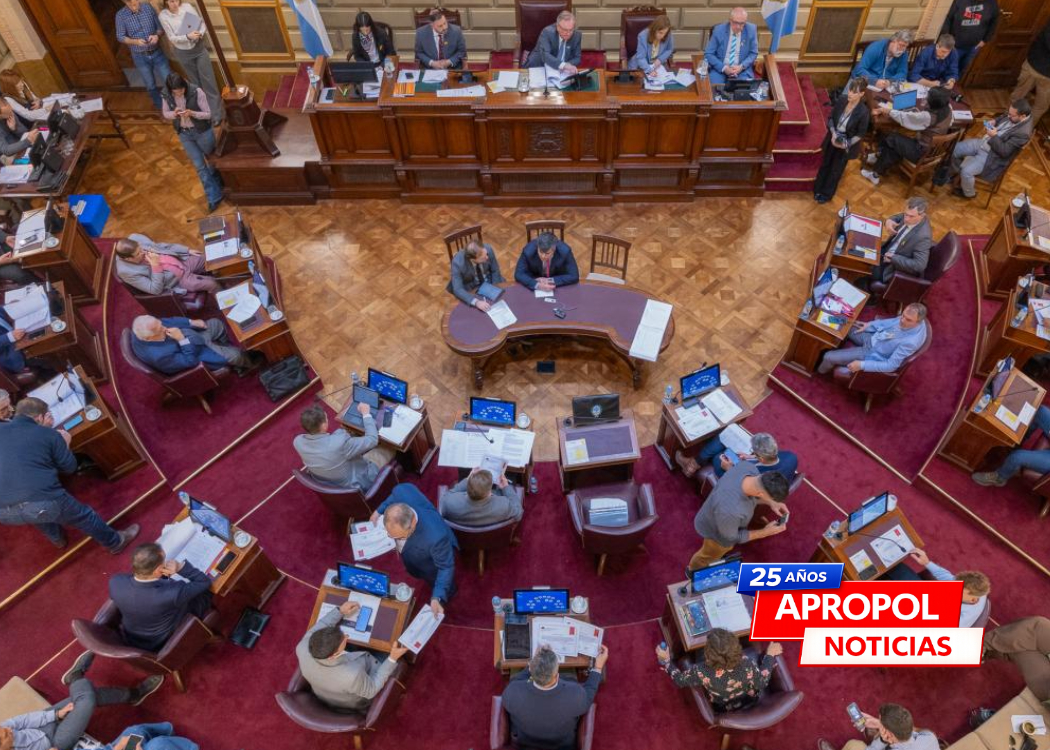 SANTA FE: media sanción para crear unidades especiales de Defensa Pública