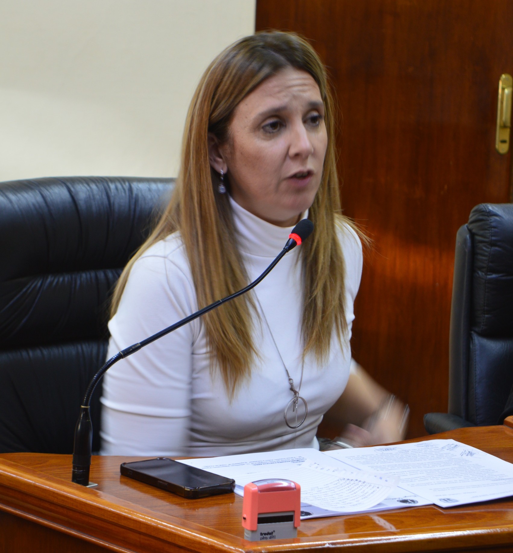 La concejal Karina Barneche presentó un proyecto para que los trabajadores municipales sean incorporados al mismo beneficio que actualmente alcanza a empleados estatales provinciales.