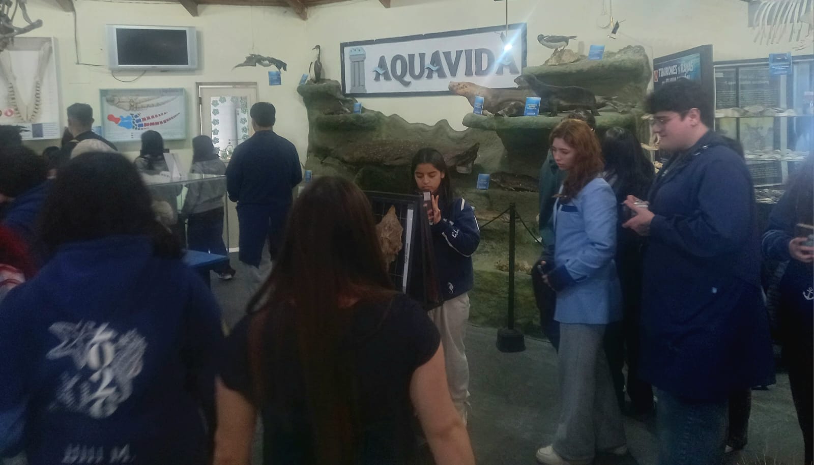 Turismo y educación: Aquavida recibió a 230 visitantes en Playa Unión durante la última semana
