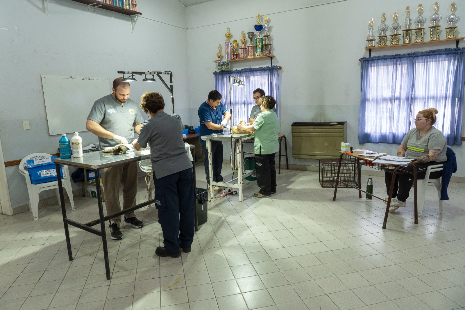 Comenzó en el barrio Río Chubut la campaña gratuita de castración y vacunación antirrábica