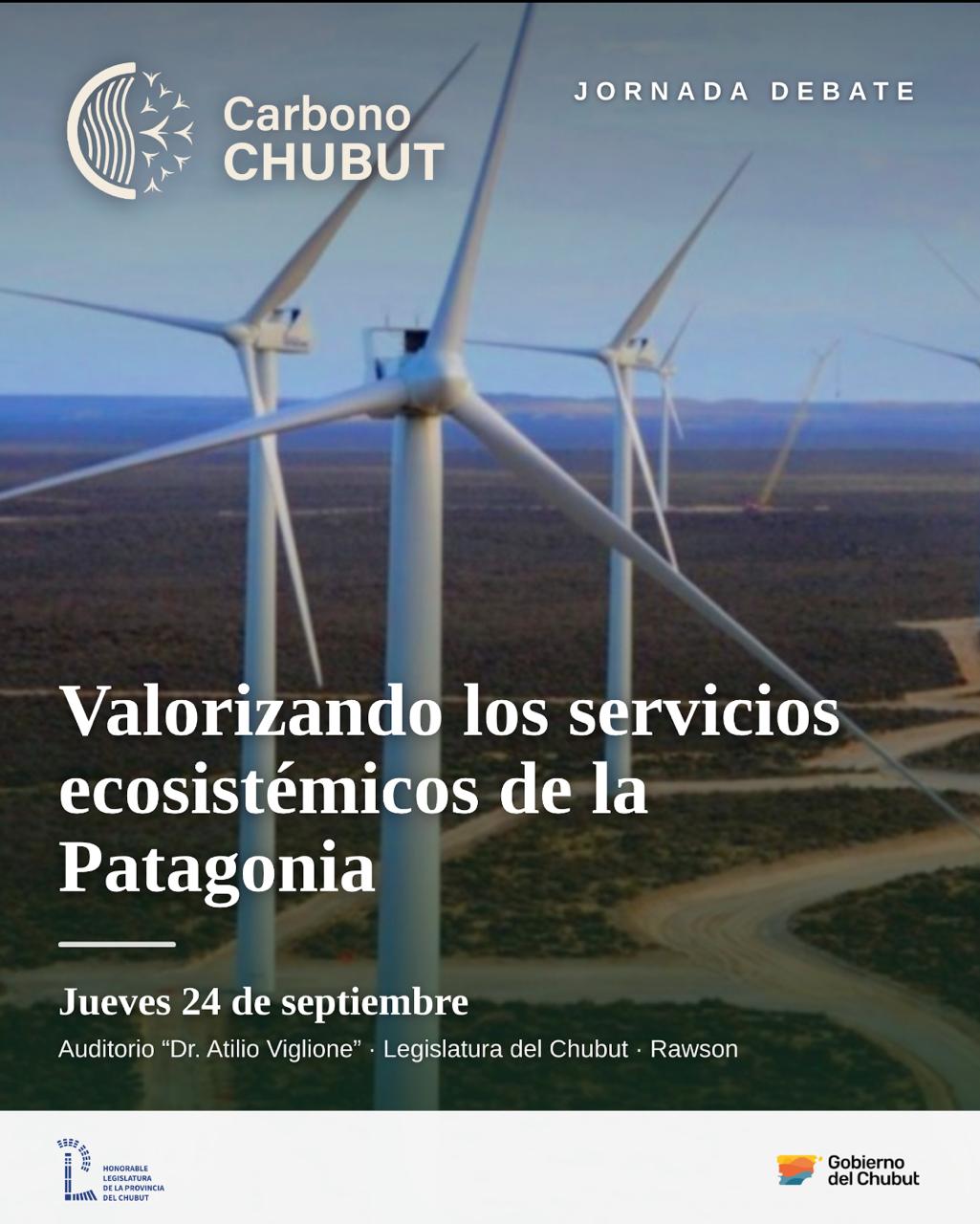 Chubut pone en agenda la economía del carbono como motor de desarrollo sustentable y generación de empleo