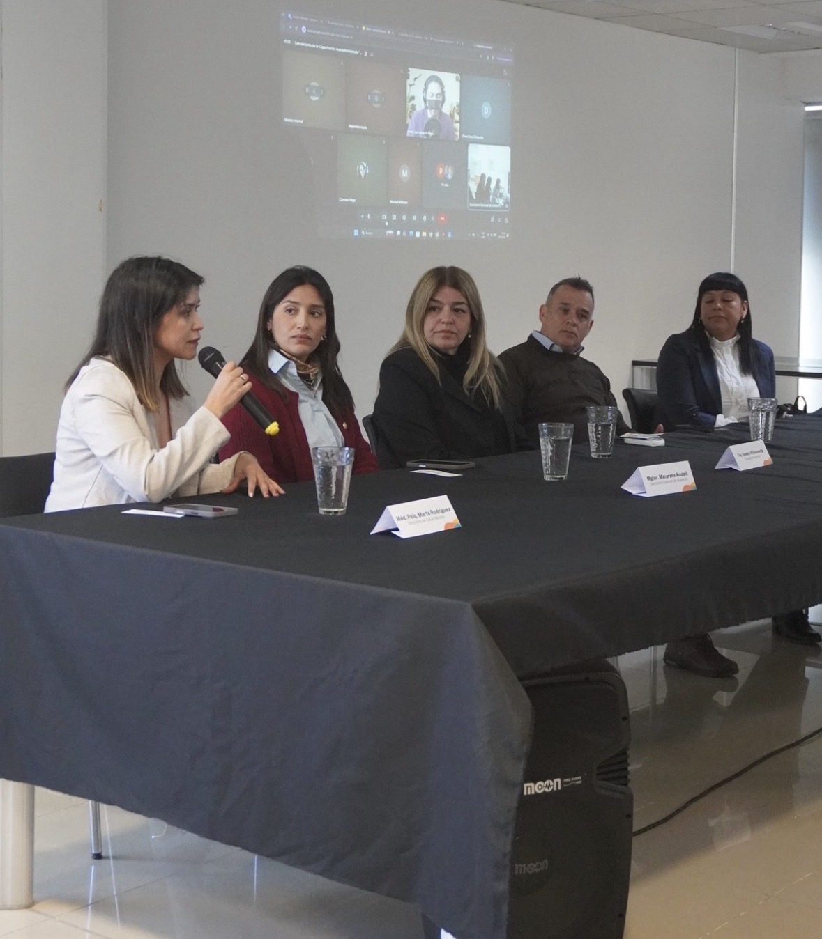 Chubut fortalece la prevención comunitaria con una capacitación en salud mental, crisis y primera respuesta