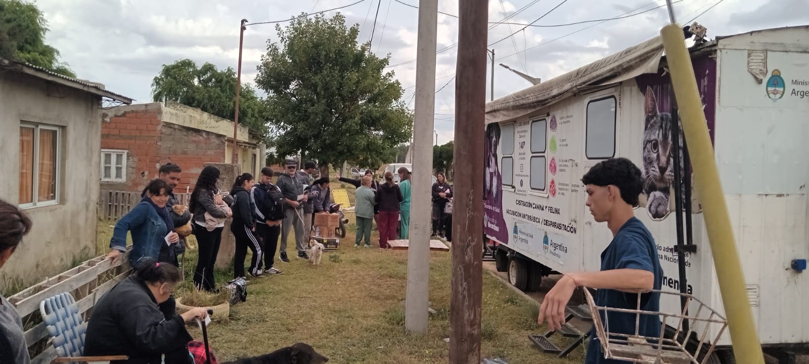 El sábado 27 habrá una nueva jornada gratuita de castración masiva en Quequén