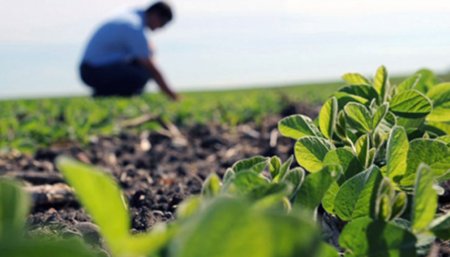¿Por qué ser agrónomo o veterinario?: 6 historias de profesionales guiados por el legado y la naturaleza
