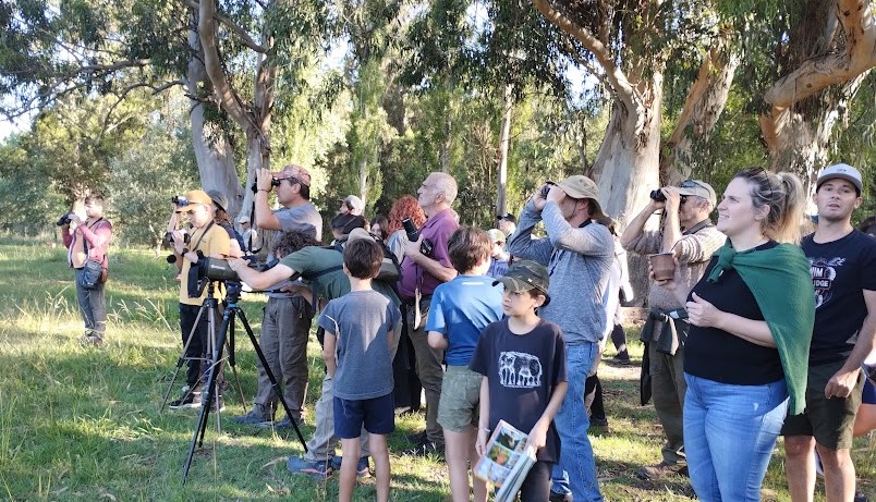 NECOCHEA: Turismo invita a una jornada de observación de aves migratorias en el Parque Miguel Lillo