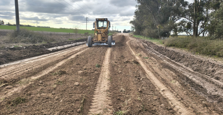 NECOCHEA: El EMSUR reforzó los trabajos de mantenimiento y reparación en los caminos rurales del distrito