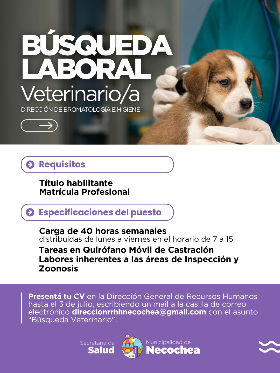 NECOCHEA: Se abrió una búsqueda laboral para incorporar un/a veterinario/a a Bromatología