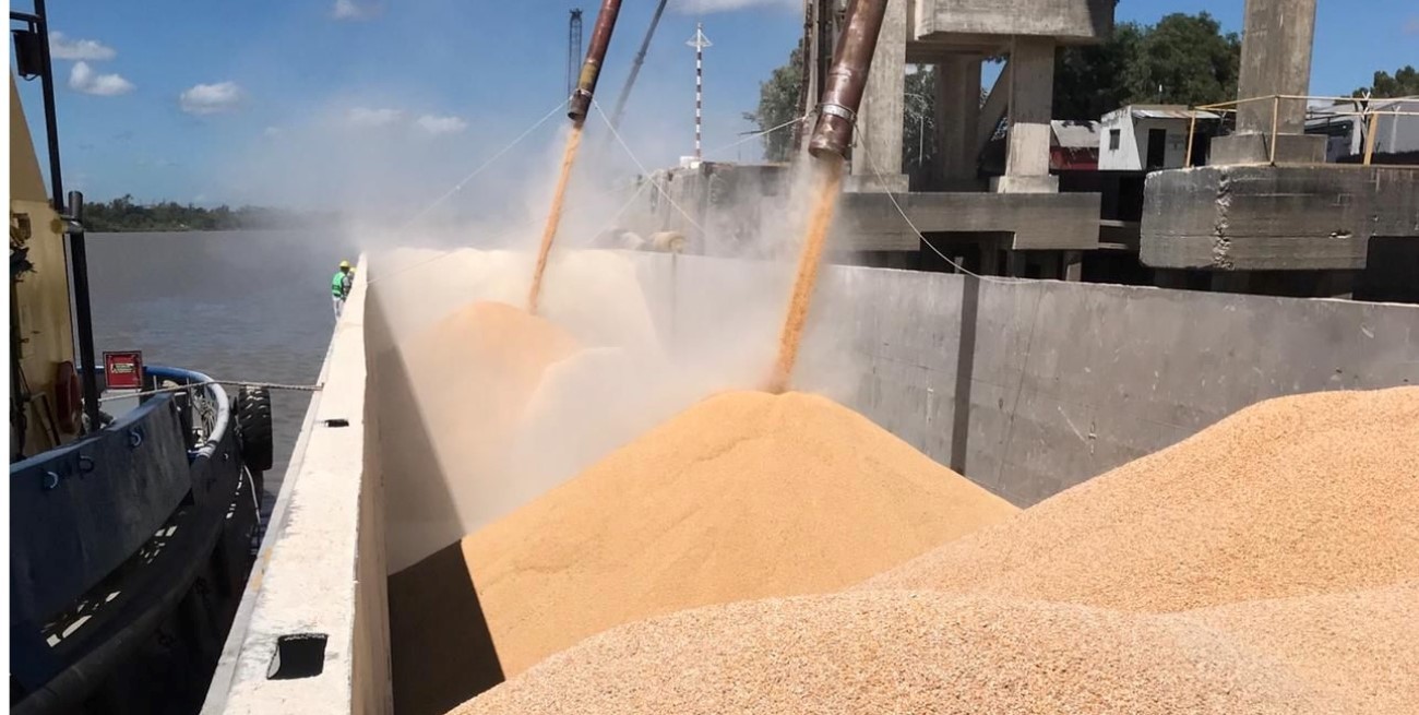 El campo ingresó US$ 2.750 millones en agosto: el maíz impulsó la liquidación, pero el acumulado anual sigue en baja