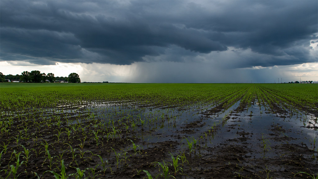 Proyectan hasta 90% más lluvias en un mes clave para la cosecha y la siembra