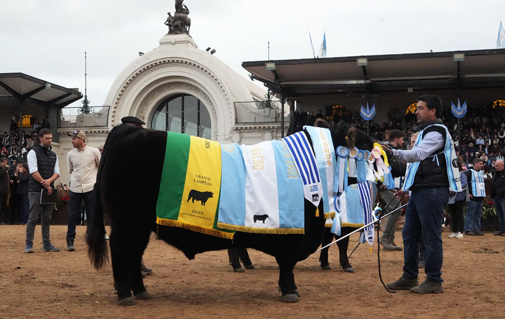 La cabaña Don José ganó el Gran Campeón Macho Angus de Palermo