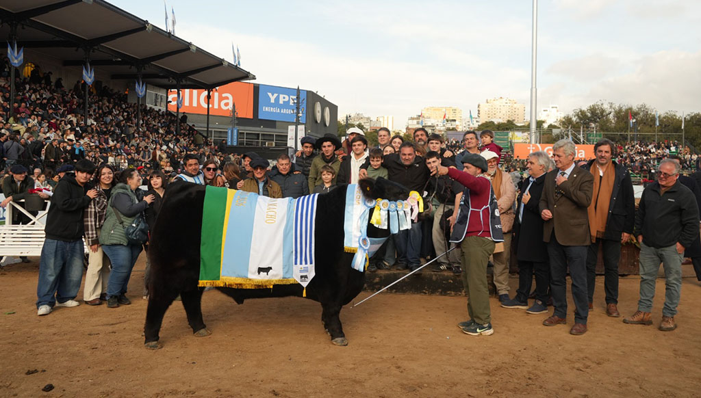 La cabaña Don José ganó el Gran Campeón Macho Angus de Palermo