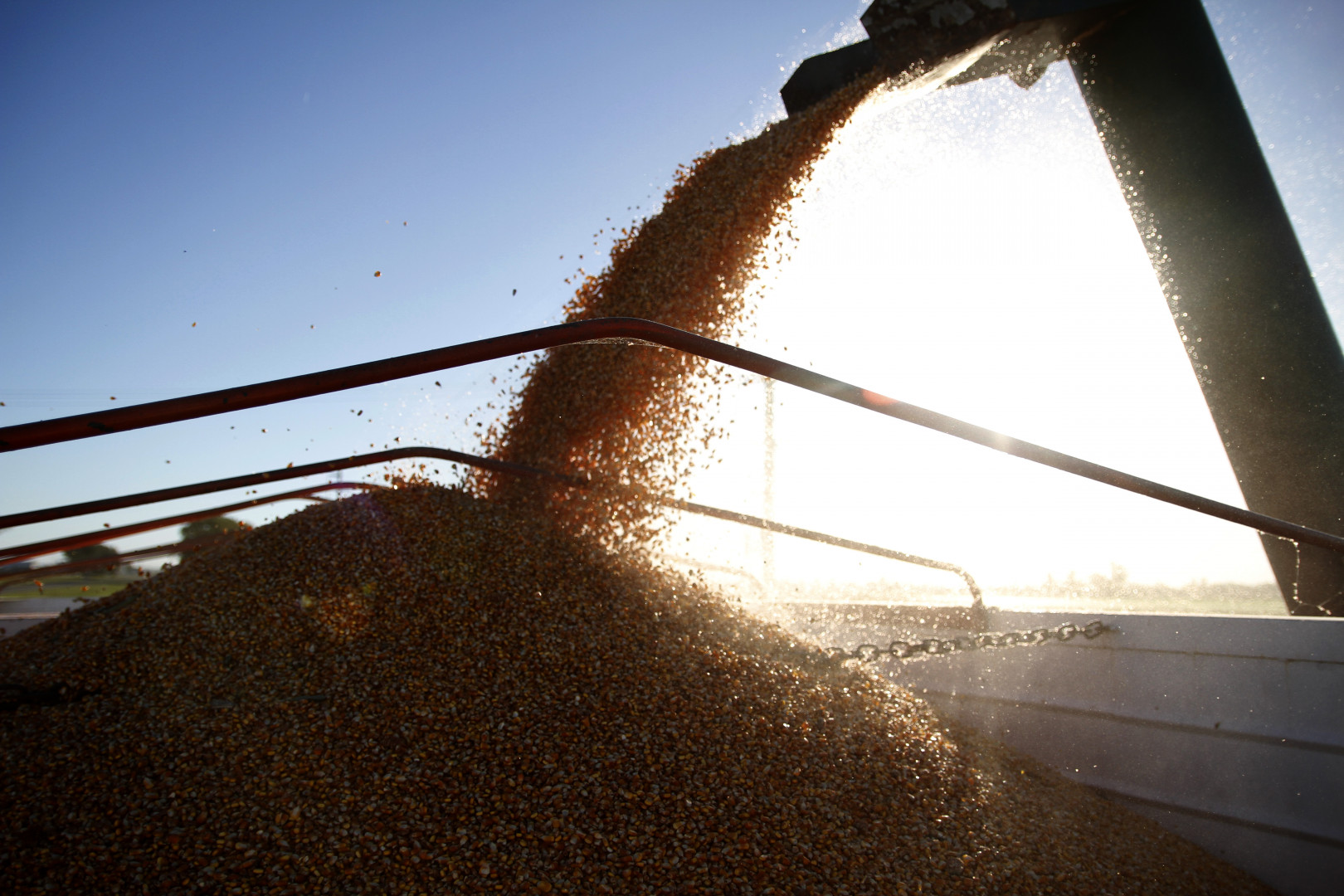 El USDA sacudió al mercado y puso a los granos contra las cuerdas