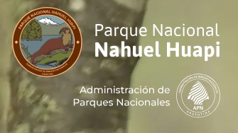 Alerta por nieve y lluvia para el sábado 1 y domingo 2 de agosto