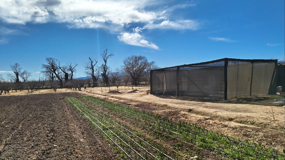 La apuesta de una minera para cuidar el agua en Calingasta: tecnología para cambiar la forma de regar