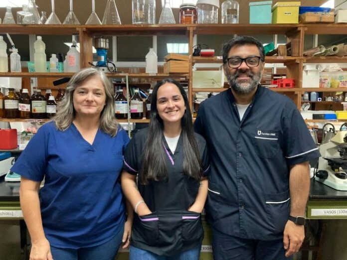 Indagarán sobre la toxicidad de plantas usadas en la etnomedicina regional para problemas digestivos