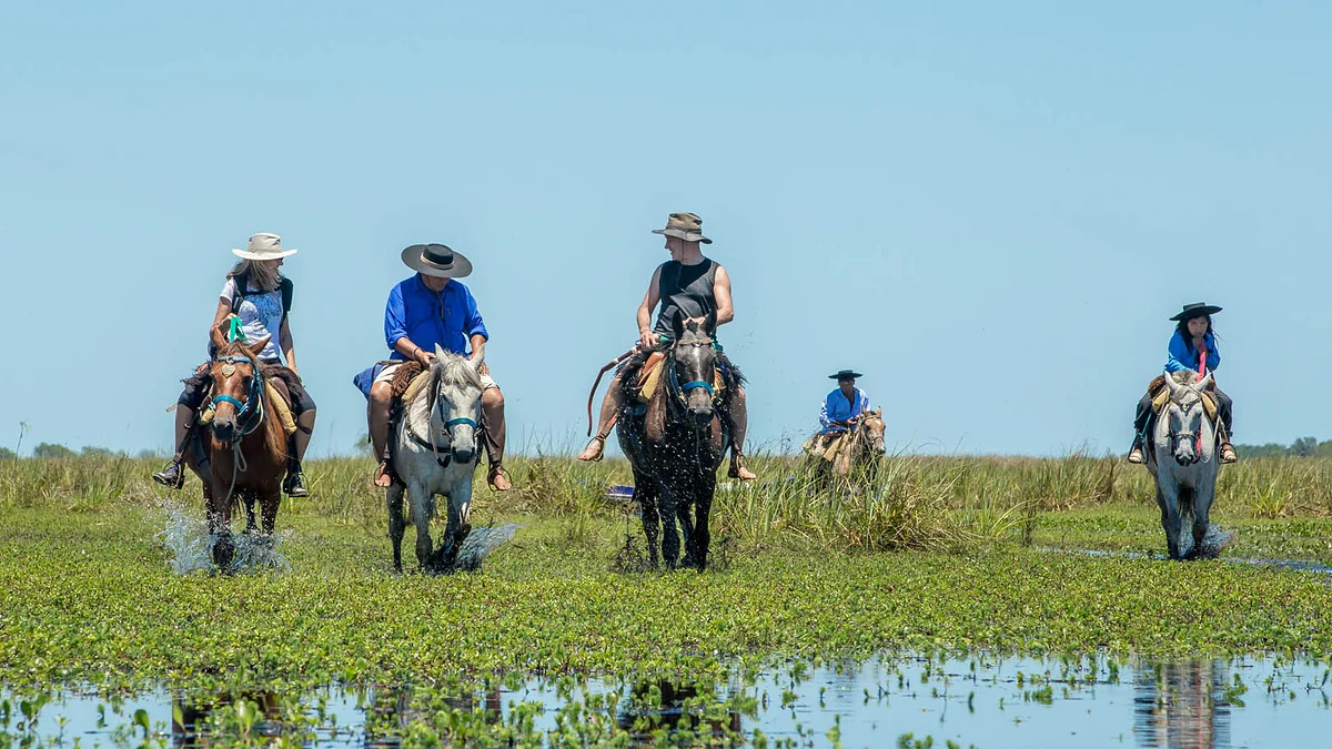 Piden reabrir el Parque Iberá tras dos meses de cierre por la presencia de un yaguareté